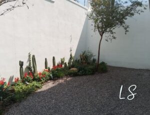 Casa en venta, Cumbres Monterrey, Arriba de Av. Paseo de los Leones; Nuevo León